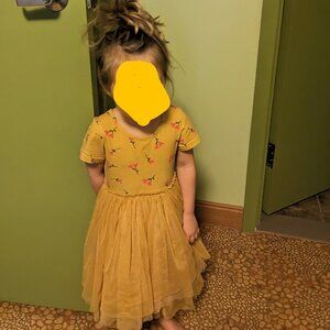 Taylor Joelle Belle Dress